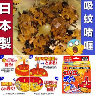 （分類：）位於 。 由 ateam.mall 提交（商品編號 1078394610，圖片 1）。簡介： 。