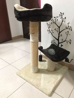 hillary high sleeper cat post