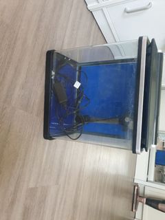 (Category: ) located in . Submitted by brappaje (Listing ID 1078372872, Image 1). Description: .
