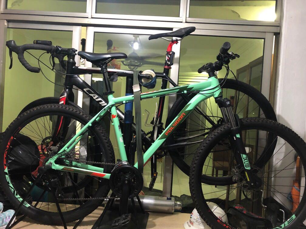 Polygon cascade hotsell 4 2021 review