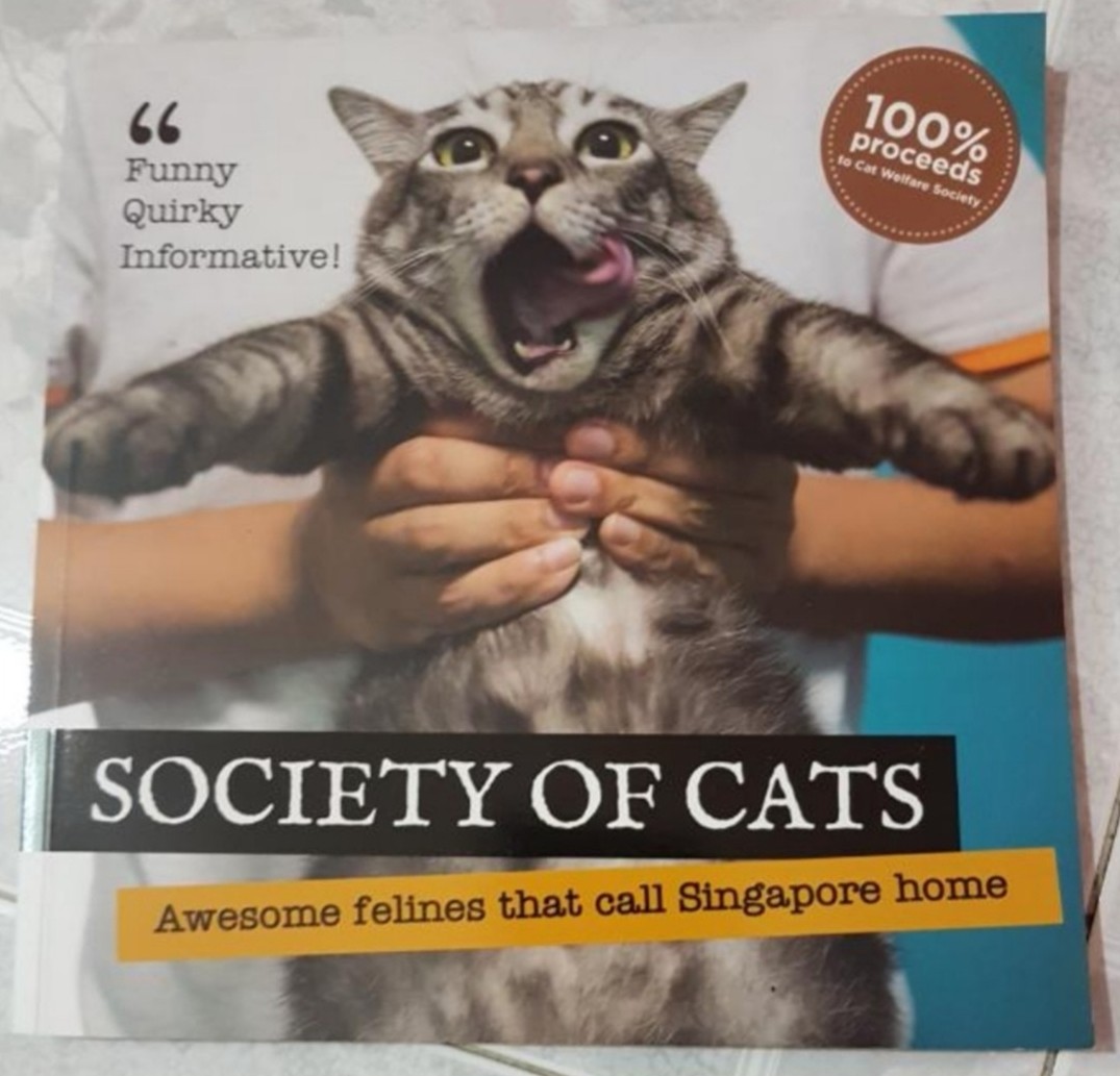 Society of Cats Coffee Table Photo Book, Hobbies & Toys, Books