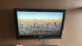 (Category: ) located in . Submitted by ammarizzuddinabdulhalim6930 (Listing ID 1078430078, Image 1). Description: .
