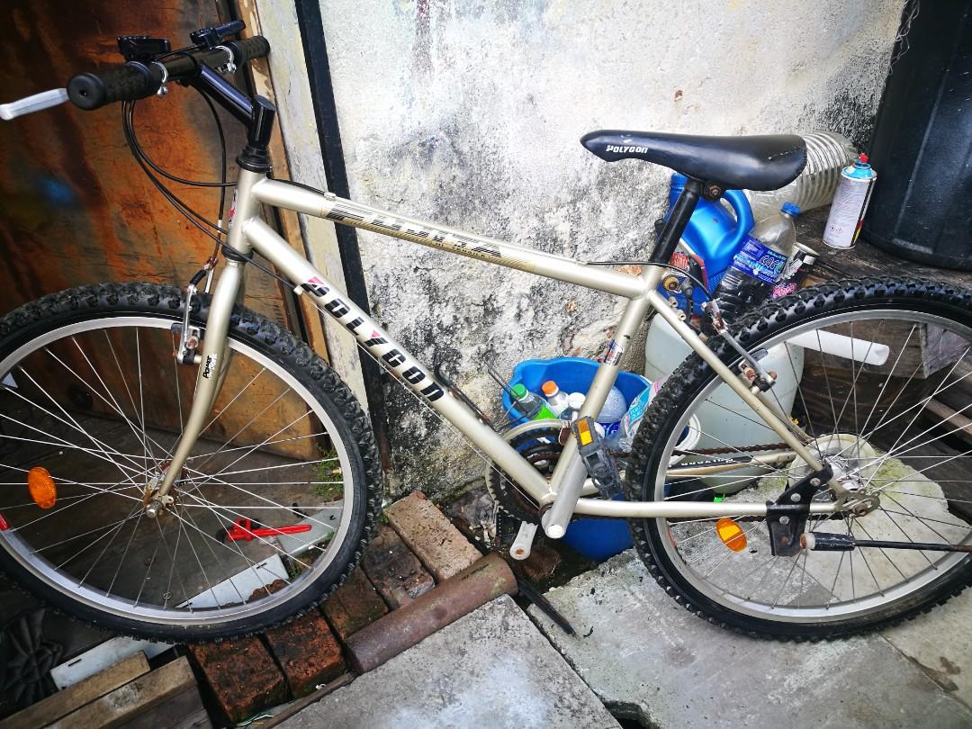 Vintage Polygon fajita retro mtb 