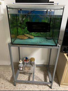 (Category: ) located in . Submitted by jpadua.com (Listing ID 1078721818, Image 1). Description: .