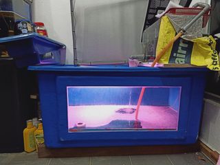 (Category: ) located in . Submitted by tmalluncle (Listing ID 1078520509, Image 1). Description: .