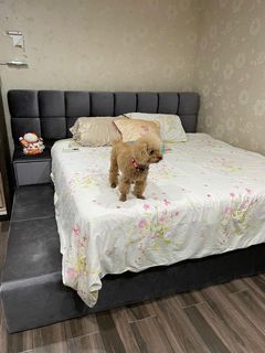 (Category: ) located in . Submitted by lingtan (Listing ID 1078577297, Image 1). Description: .