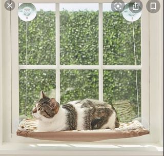 (Category: ) located in . Submitted by love4holo (Listing ID 1078596392, Image 1). Description: .
