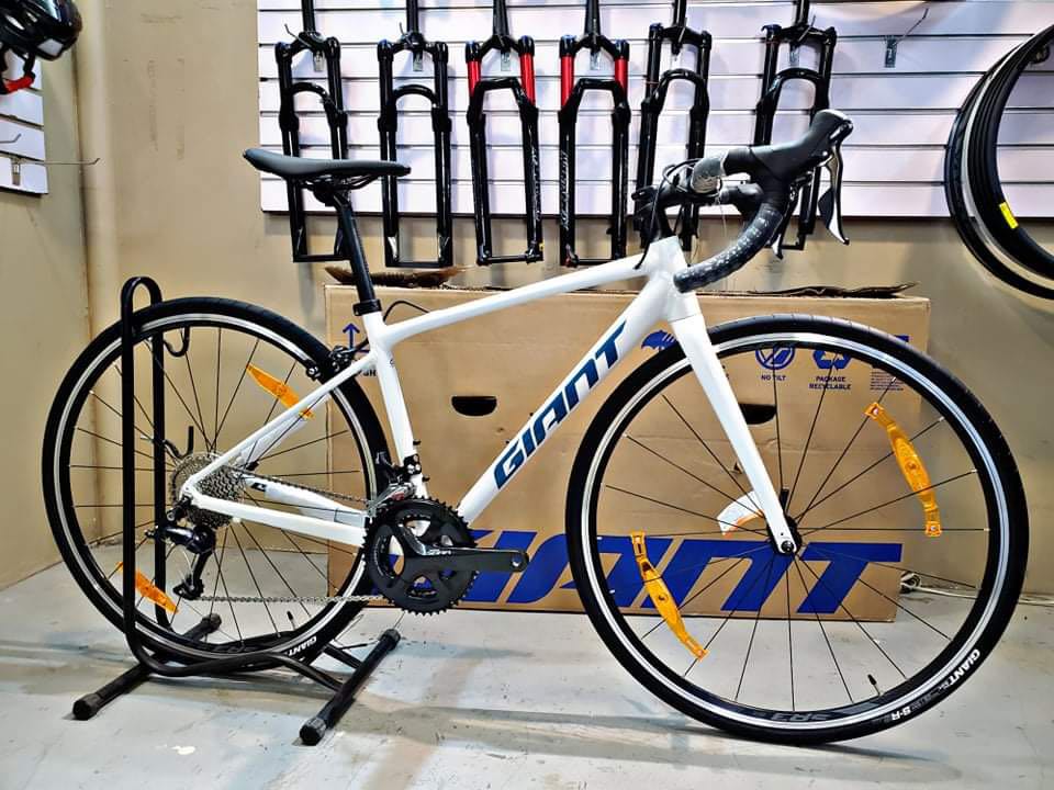 Giant contend 1 discount 2021