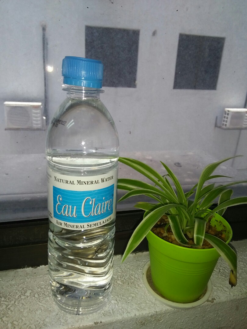 Mineral Water Eau Claire Per Bottle Food Drinks Drinks On Carousell