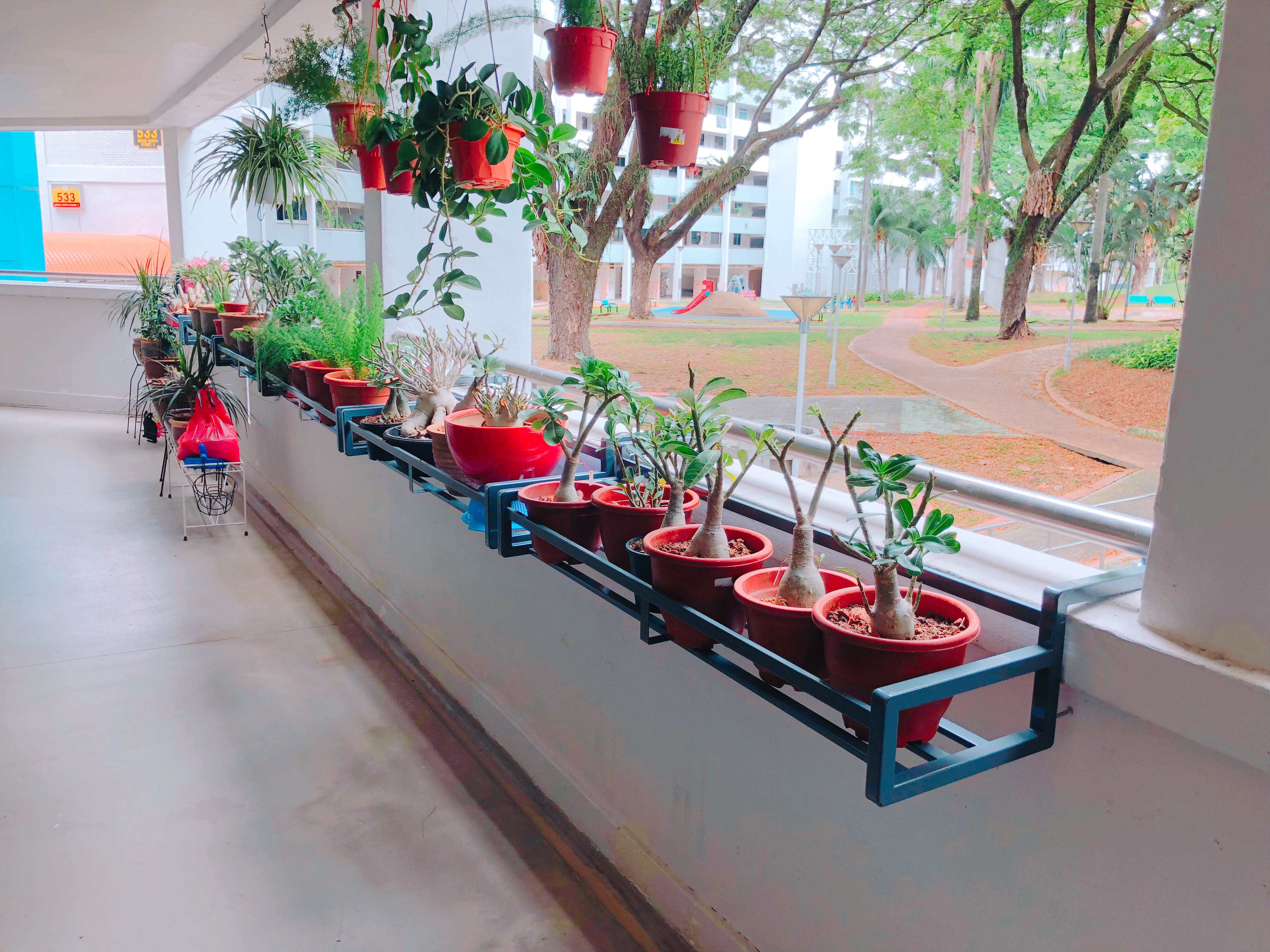 Modern Heavy Duty High Plant Rack Balcony Display Shelf for HDB