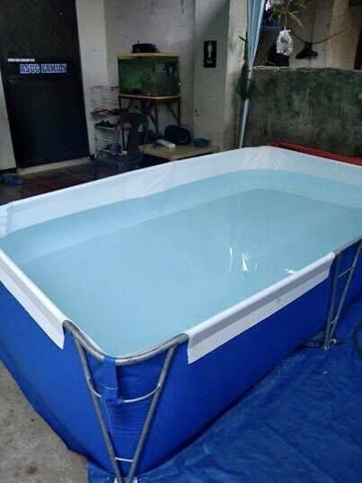 portable swimming pool furniture home living outdoor furniture on carousell