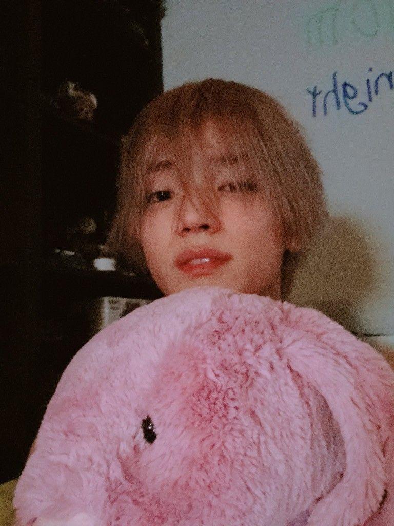 taeyong bunny plush