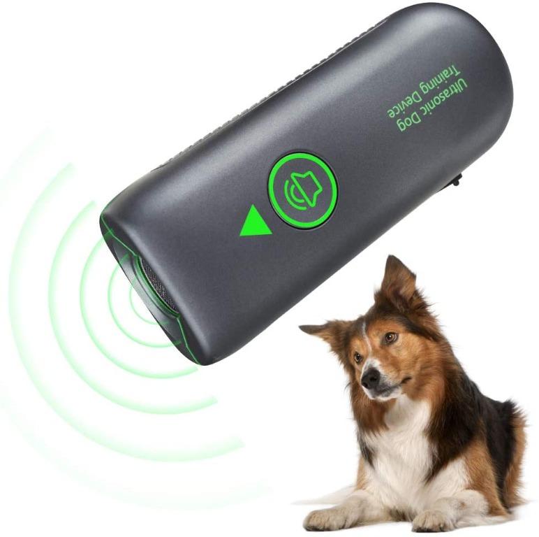 Best training device for dogs clearance