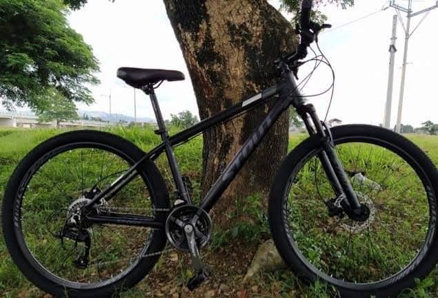 Stout avenger 27.5 cheap price