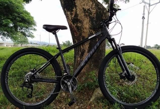 Stout avenger 27.5 outlet