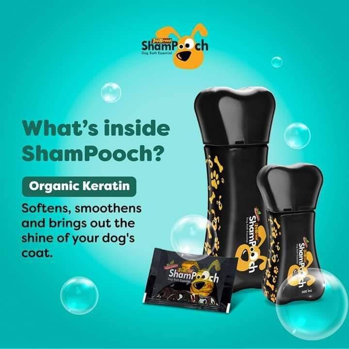 TOP BREED SHAMPOOCH 1000ml DOG SHAMPOO w madre de cacao