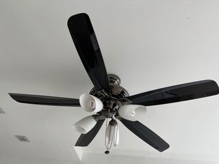 (Category: ) located in . Submitted by epizoit (Listing ID 1078729660, Image 1). Description: .