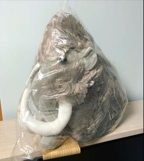 （分類：）位於 。 由 soft_momo_store 提交（商品編號 1073051647，圖片 1）。簡介： 。