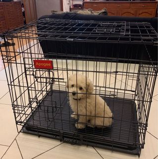 (Category: ) located in . Submitted by dindinb (Listing ID 1073019993, Image 1). Description: .