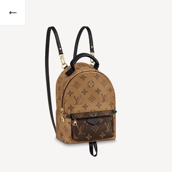 Louis Vuitton Palm Springs Backpack Mini Straps 0145