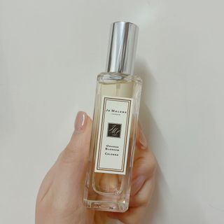 （分類：）位於 。 由 beam_beam 提交（商品編號 1073023259，圖片 1）。簡介： 。