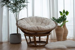Structube papasan 2025