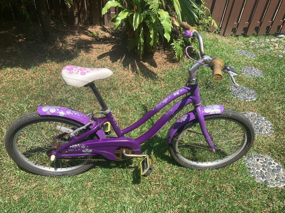 Bella purple bicycle Giant Sports Equipment Bicycles Parts Bicycles on Carousell