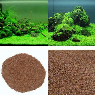 55 Koleksi Harga Dekorasi Aquarium Gratis Terbaik