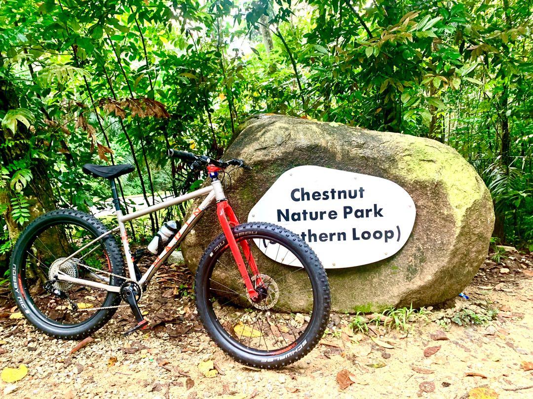 Marin pine mountain 1 for sale deals