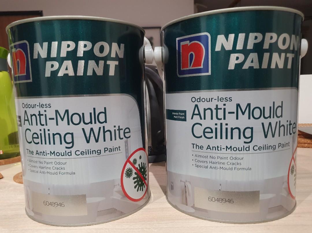 Nippon antimould ceiling white paint (5 L) and Vinilex 5170 solvent
