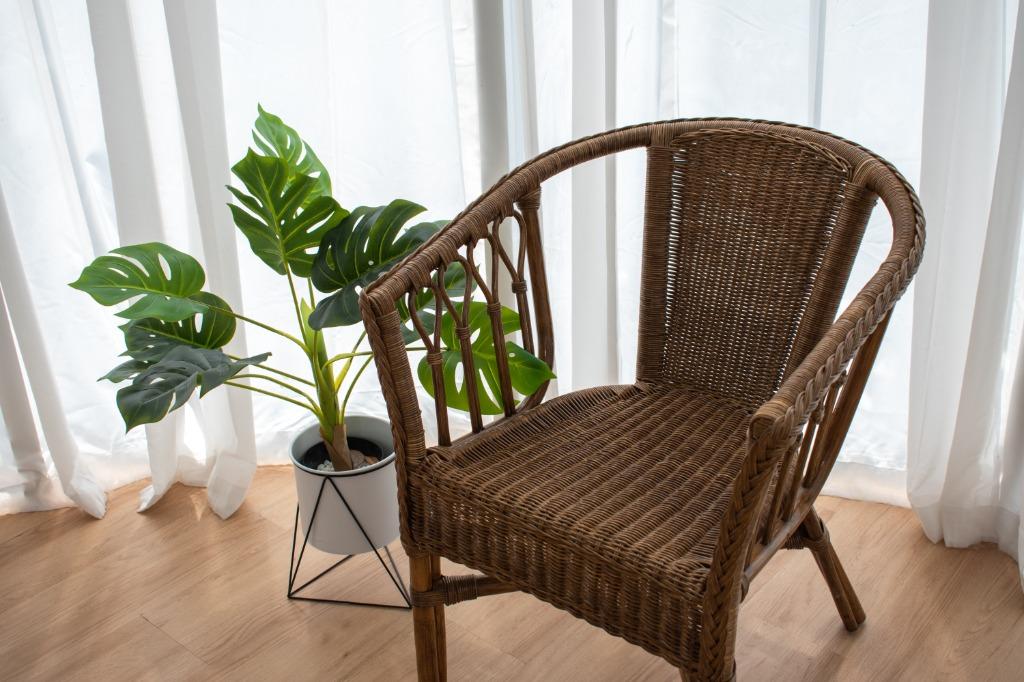 Pari rattan 2025 chair