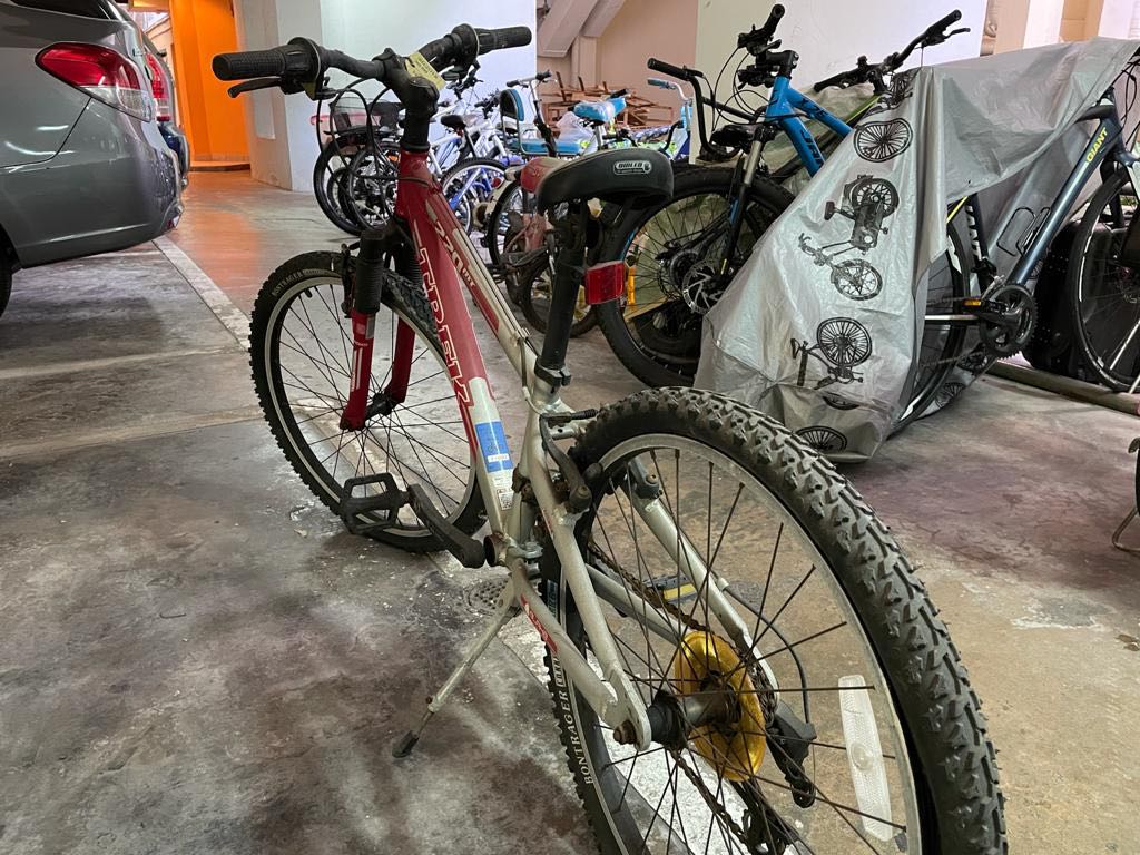 Trek mountain bike MT 220 for kids red Sports Equipment Bicycles Parts Bicycles on Carousell