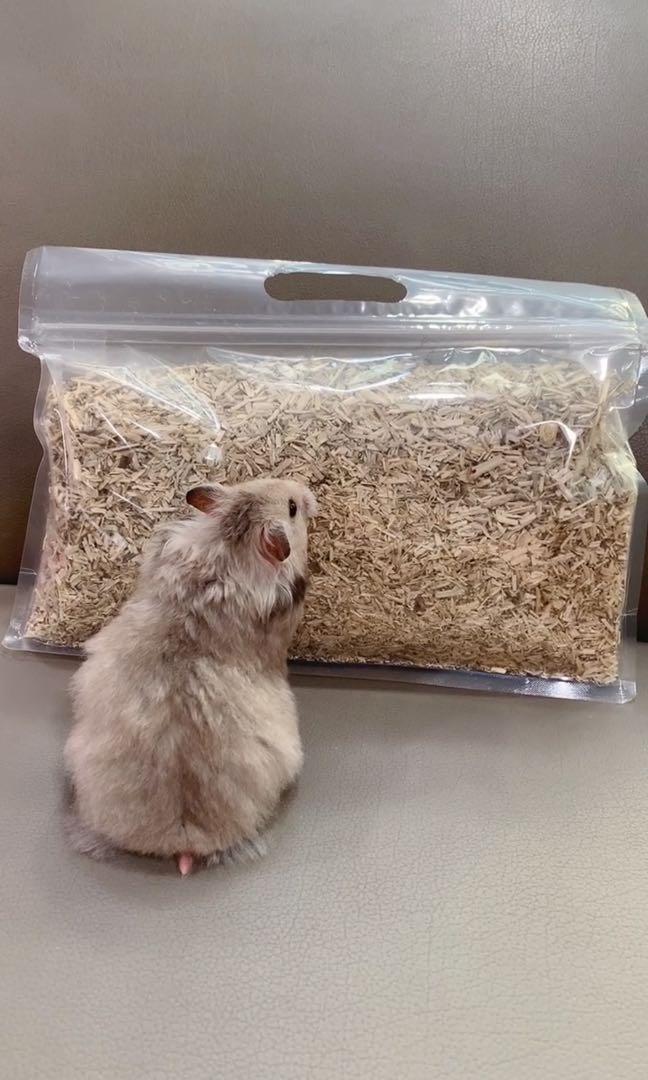 Wood Shavings (Hardwood) for Hamsters/Bunny/Rodents, Pet Supplies