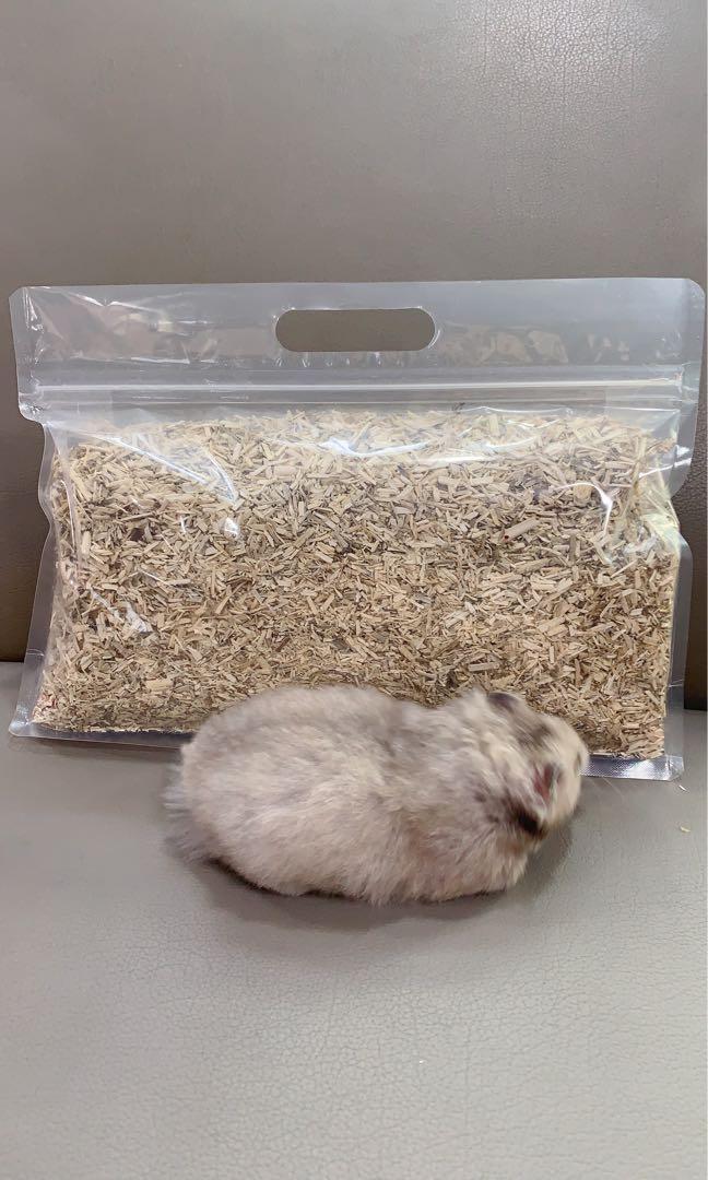 Wood Shavings (Hardwood) for Hamsters/Bunny/Rodents, Pet Supplies