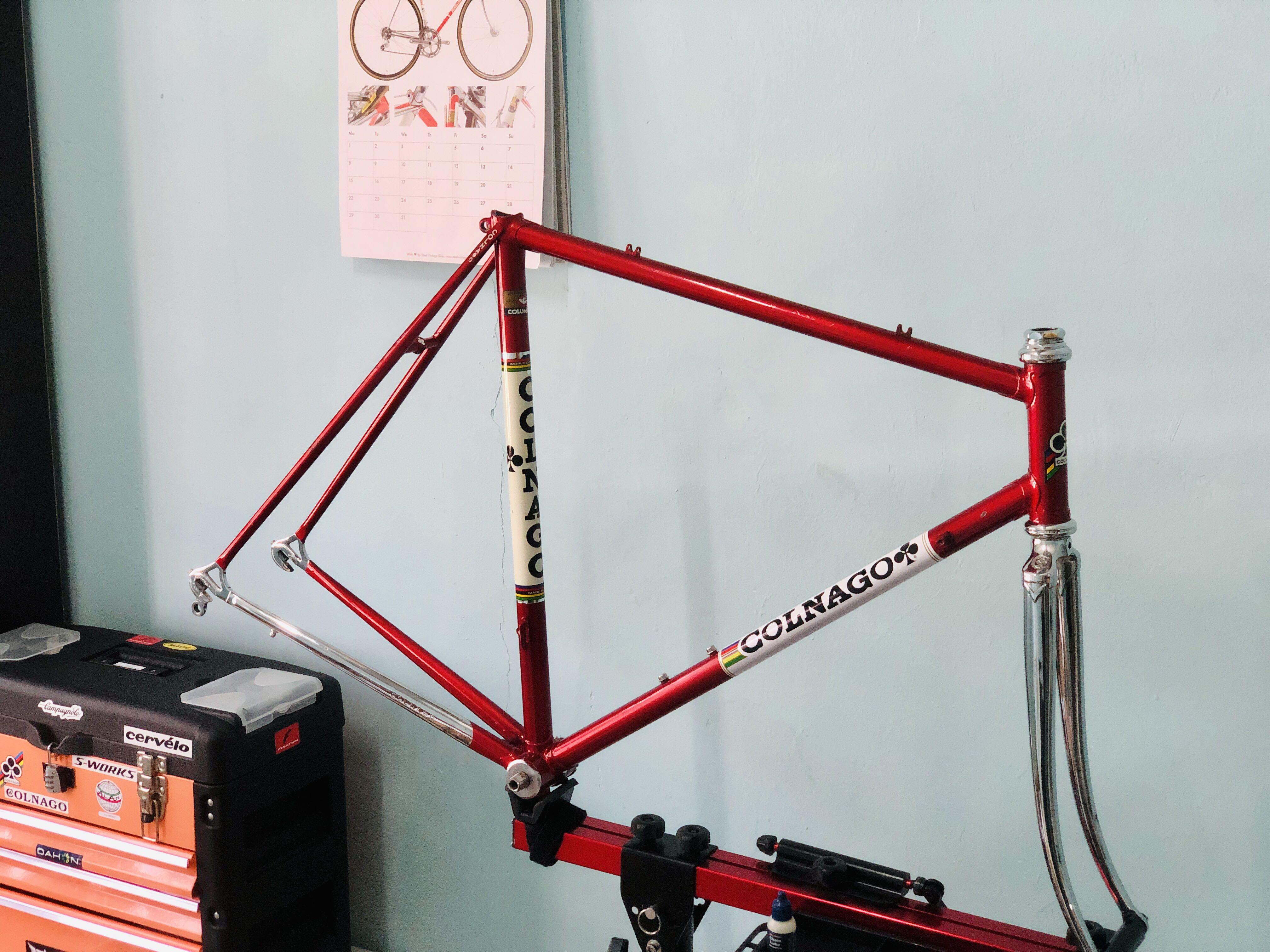 Campagnolo frameset 2025