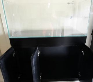 (Category: ) located in . Submitted by aquaticstore (Listing ID 1073500196, Image 1). Description: .