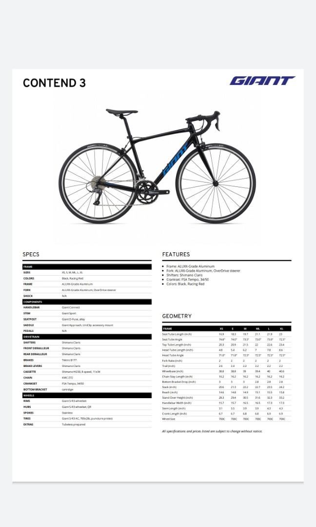 Giant contend 3 size chart top