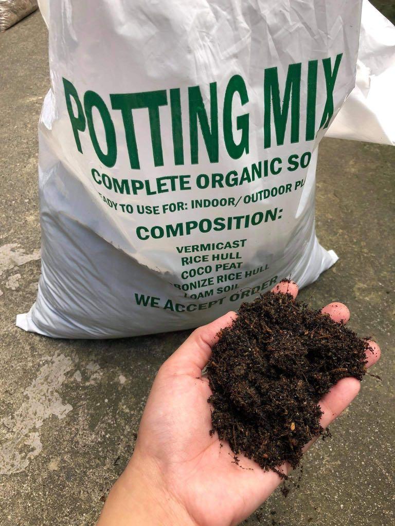 Potting mix (Category: Gardening Tools & Ornaments) located in Quezon City. Submitted by EuansHP.EZundergarments (Listing ID 1073362251, Image 2). Description: Potting mix soil Good for gardening 5 kilos per bag at 60 Available also for wholesale Message me for more details.