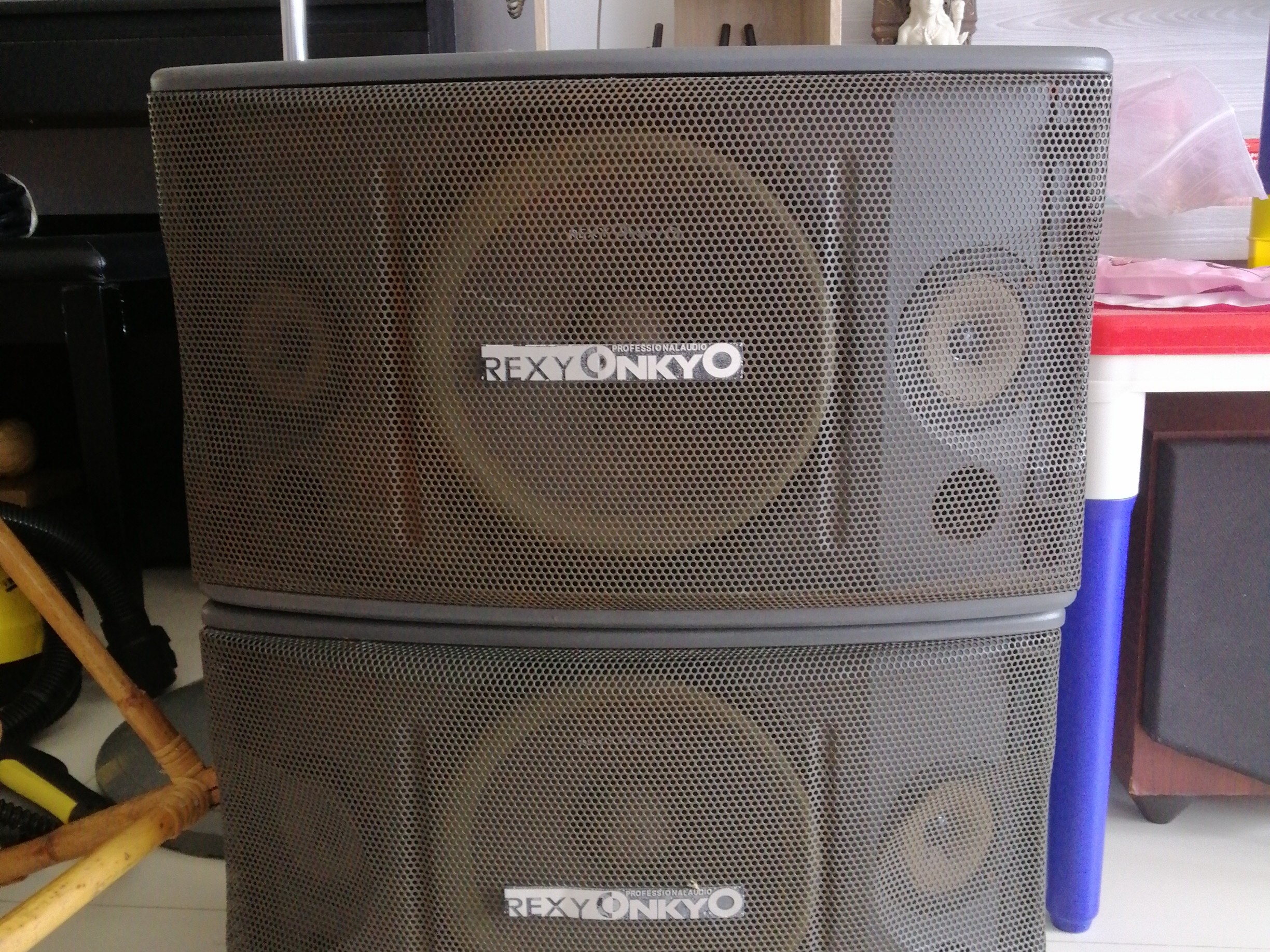 REXY ONKYO SPEAKER, good for music and karaoke, Audio, Soundbars