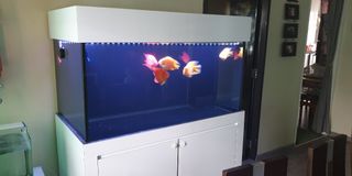 (Category: ) located in . Submitted by annimal (Listing ID 1073674670, Image 1). Description: .