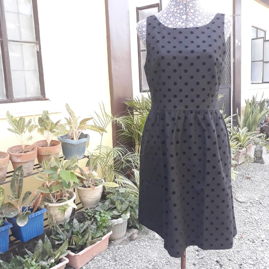 ann taylor fit and flare dress