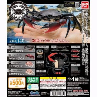 （分類：）位於 。 由 chung676396 提交（商品編號 1073659054，圖片 1）。簡介： 。