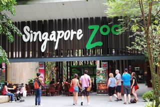 (Category: ) located in . Submitted by teddeko (Listing ID 1073780353, Image 1). Description: .
