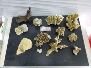 Aquarium Stones / Coral