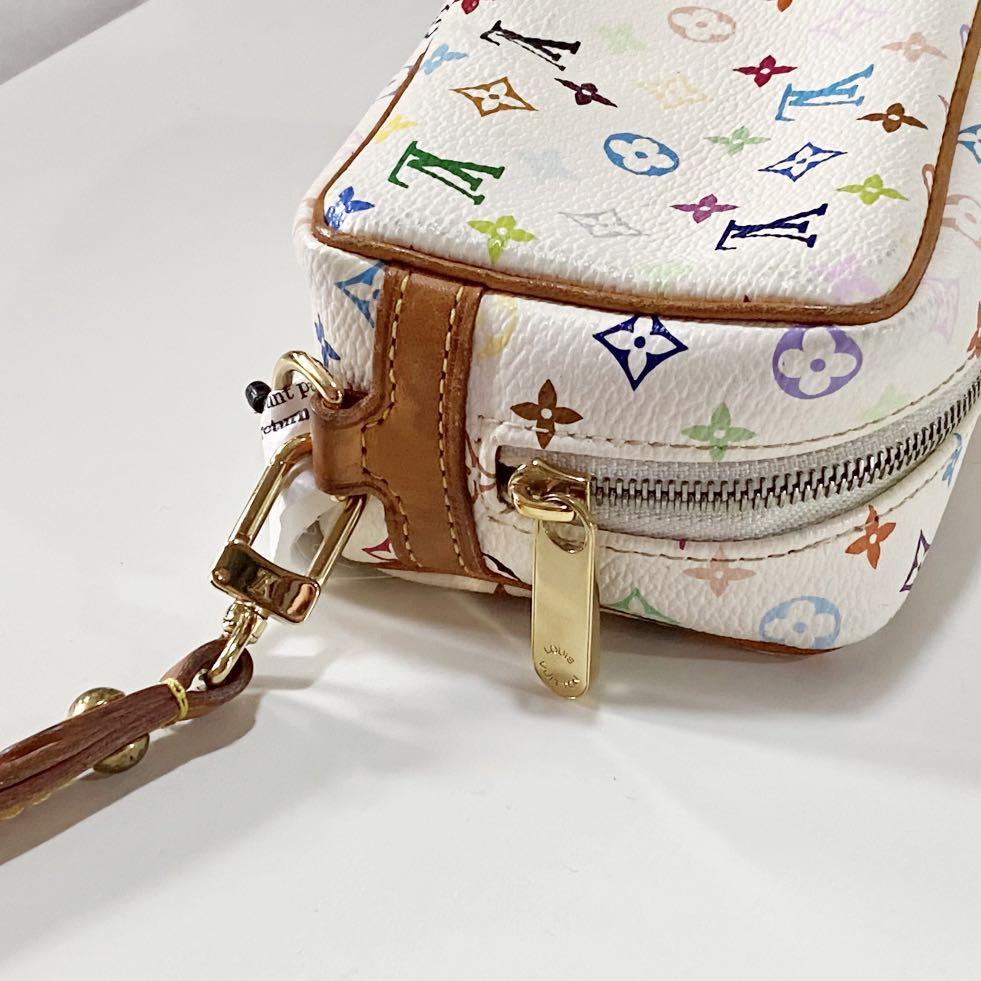 Louis Vuitton Multicolour Wapity, Luxury, Bags & Wallets on Carousell