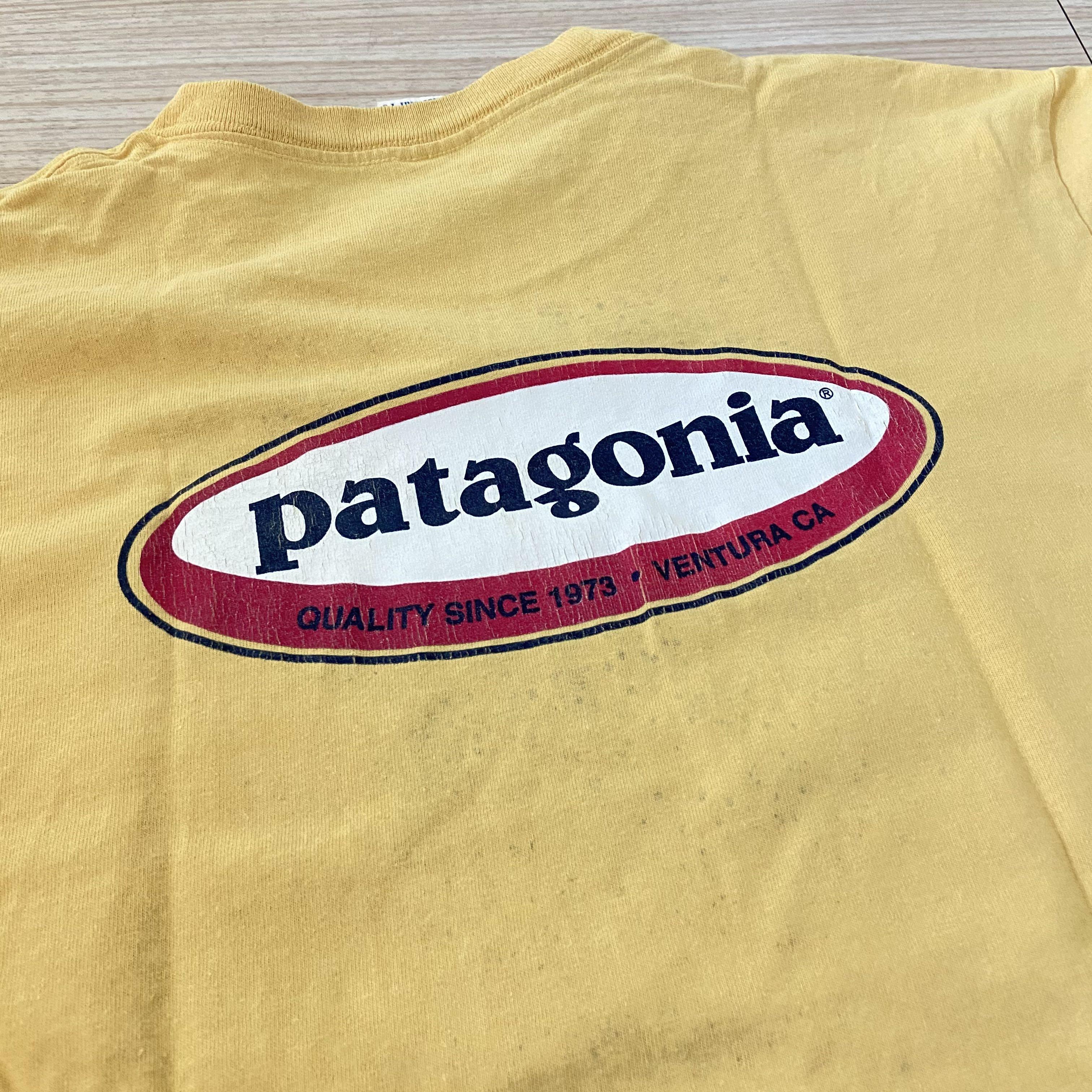 vintage patagonia tshirt
