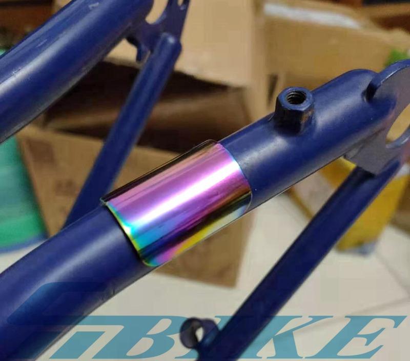 Brompton Carbon Rear Fork Protector 3.0, Sports Equipment, Bicycles ...