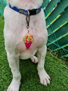 (Category: ) located in . Submitted by dogsnsuch (Listing ID 1073556332, Image 1). Description: .
