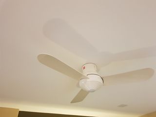 (Category: ) located in . Submitted by grabnowsales (Listing ID 1073624456, Image 1). Description: .