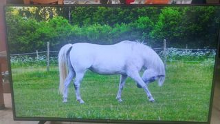 (Category: ) located in . Submitted by hdhomehtcdevice1 (Listing ID 1073646876, Image 1). Description: .